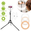 10-Inch LED Selfie Ring Light with Tripod - Dimmable 120 LEDs, Phone Holder & USB Power | For Streaming, Makeup, YouTube Videos