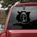 Halloween Car Sticker Kit | Skull & Horror Themed Interior & Bumper Decals