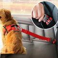 Telescoping Dog Tie-Out | Car Safety Tether & Travel Restraint