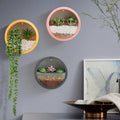 Round iron wall vase by CJ with hanging basket design, perfect for succulents and floral displays in home or restaurant decor.