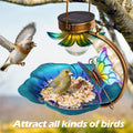Solar Bird Feeder | Hanging Globe with LED Lights for Night Viewing