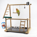 Bird Play Stand for Cockatiels | Desktop Gym with Swing & Toys