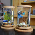 Mini Aquarium for Office | Small Glass Fish Tank with Bamboo Stand