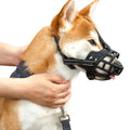 Dog Muzzle for Training | Adjustable for Biting & Barking Control
