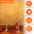 Lighted Birch Tree - Choose 4ft or 6ft Size with 8 Warm White Lighting Modes | Artificial White Birch Twig for Wedding, Christmas & Home Decor