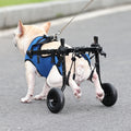 Dog Wheelchair | Adjustable Mobility Cart for Disabled Pets