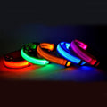 Glowing Dog Collar | Adjustable Nylon LED for Night Walks