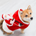 Elf Dog Christmas Costume | Festive Green Holiday Outfit
