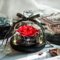 CJ LED Eternal Rose in glass dome with preserved real flowers and built-in lights, creating a romantic decorative display.