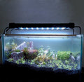 Freshwater Aquarium LED Light | Full Spectrum Lamp for Fish Tanks & Plants