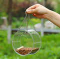 Acrylic Bird Feeder | Wall or Window Mount Food Dispenser