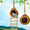 Natural Coconut Bird Nest | Handmade Shell for Small Birds & Cages