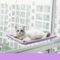 Cat Window Hammock | Suction Cup Perch for Indoor Cats