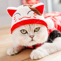 Tang Suit for Pets | Cat & Dog Traditional Costume