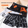Men's plus size boxer shorts by CJ, featuring a comfortable fit and trendy design, shown in a relaxed pose.