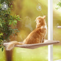 Cat Window Hammock | Sunny Mounted Perch & Comfortable Bed