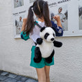 Cute Panda Small Backpack – Fashion Cartoon Plush Bag for Boys & Girls