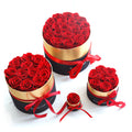 Preserved Rose in Box | Real Eternal Flowers for Valentine's Day