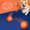Heavy Duty Rubber Chew Ball | Durable Dog Toy for Aggressive Chewers - whimsywagon