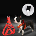 Luminous Dog Harness | LED Safety Strap & Leash for Large Breeds