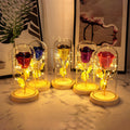 Eternal Rose Flowers LED Light Glass Cover Gift
