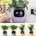 AI Smart Planter by cj featuring an expressive face, automated indoor garden pot with smart planting technology.