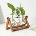 Glass Bulb Planter with Wooden Stand - Swivel Desktop Terrarium for Air Plants & Hydroponics - whimsywagon