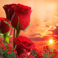 380e828c1bc9cb4b94a69013f9b36c65
