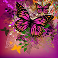 9f800883082a5a7132d7ddb62082d7fd