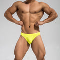 Solid Color Low Waist Triangle Ice Silk Underwear
