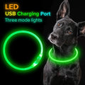 LED Dog Collar Light | USB Rechargeable & Waterproof for Safety