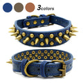 Pit Bull Collar | Heavy Duty Studded Leather S-XL