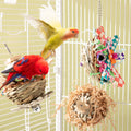 Parrot Chew Toy | Wooden Molar for Beak Grinding & Play