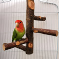 Natural Wood Parrot Play Stand | Chewable Perch with Toys