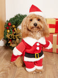 Christmas Costume for Small Dogs | Festive Pet Apparel & Holiday Outfit