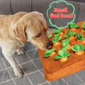 CJ Carrot Plush Dog Toy, durable vegetable chew toy for puppies, soft orange plush exterior with realistic carrot design.
